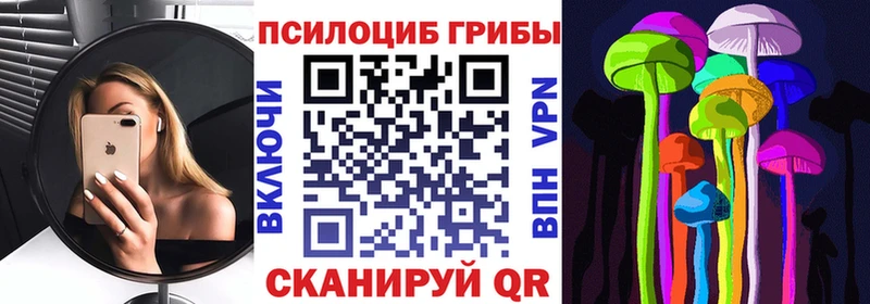 Купить  Нурлат  Галлюциногенные грибы Psilocybine cubensis 